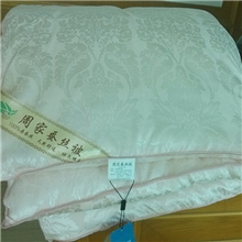 厂家直销供应特长丝蚕丝被特级双宫桑蚕丝秋冬被加工定制批发