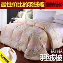 【伙拼】厂家直销羽绒被加厚被子床上用品鸭绒被婚庆冬被批发
