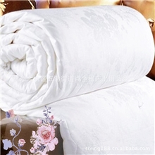 大量供应空调被批发优质空调被直销纯棉空调被蚕丝夏凉l空调被