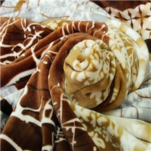 毛毯批发市场加厚3斤以上毛毯批发新疆批发双层被套订做毛毯