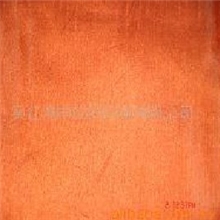 阳离子变色龙锦涤纺家纺用布服装用布