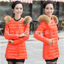 2013新款尚貉子毛领羽绒服新款潮女式羽绒服厂家一件起批