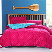波点双拼被舒适柔软冬被加厚被芯时尚太空被棉被子一件代发