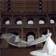 出口外贸特价新款新娘头纱5米长外景飘逸头纱婚纱配件五米ts016