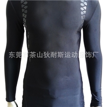 2013新款厂家直销优质功能型能量条长袖快干紧身打底衫可批发