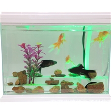 品牌可过滤鱼缸USB迷你鱼缸办公室摆设鱼缸LED鱼缸/乌龟缸