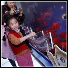 定做顶级大型神奇负压鱼缸水族工程生态观赏鱼缸中型水族箱