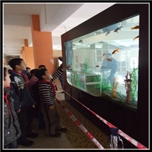 神奇创意鱼缸定做极品免换水观赏水族箱生态水族鱼缸质优价廉