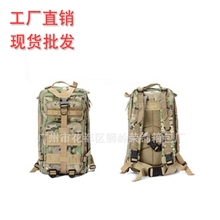 厂家大量现货军迷登山包运动包战术背包多功能背包3P背包