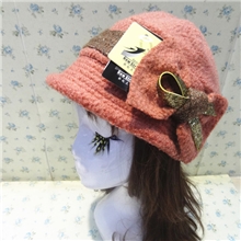 2013秋冬新起点羊毛时装帽加厚款保暖御寒休闲时装帽女士