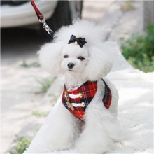 厂家直销狗狗新款胸背牵引petstyle2013新款宠物胸背批发专卖