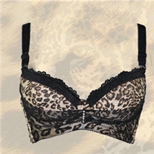 都市丽人批发豹纹聚拢深V显沟性感蕾丝边调整型文胸单品一件代发