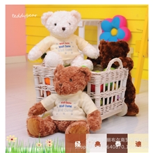 正品毛绒玩具泰迪熊公仔抱抱熊宝宝玩具