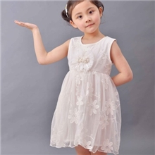 童裙批发韩版连衣裙品牌公主连衣裙2013夏季爆款女童蕾丝纱裙