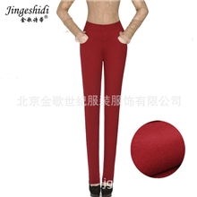 批发秋冬新款韩版女裤休闲裤加厚加绒大码小脚铅笔裤一件代发