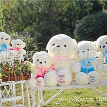 全网最低价！厂家直销！30cm泰迪熊围巾月亮熊支持淘宝一件代发