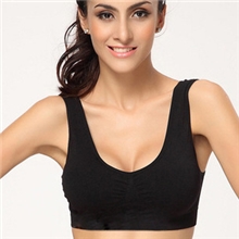 网络爆款原单外贸双层无缝运动调整型文胸无痕无钢圈内衣