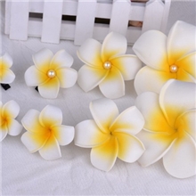 现货批发热销鸡蛋花巴厘岛海边度假头花边夹泳装配饰新娘饰品混批