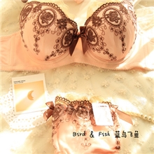 9140爆款日韩日系宫廷刺绣少女聚拢三排扣女士内衣文胸套装批发