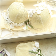 3308正版千之野奢华深V蕾丝胸前花朵少女四排扣性感甜美文胸套装