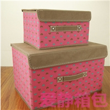 新品促销扣扣箱爱心2件套收纳箱整理箱杂物箱衣物袜子收纳箱