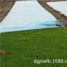 强力推荐21g草籽绿化覆盖布喷播绿化无纺布