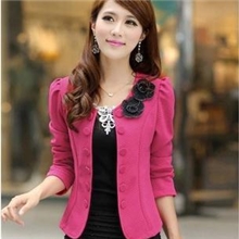 2013最新款秋季韩国修身OL气质双排扣短款大码小西装女装外套