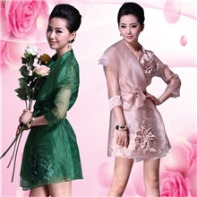 镇店之宝2013秋季新款品牌绣花正品刺绣100%欧根纱连衣裙子批发