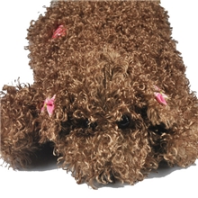 2013新款毛绒卡通双插手电热水袋电暖手宝暖水袋泰迪狗仿真比例