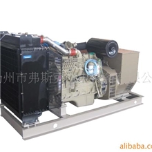 厂家直销|全新现货康明斯发动机发电机|动力强劲