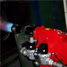 20万大卡燃气燃烧器-TG17