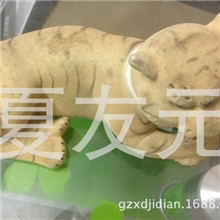 出售江西酒包装植绒机