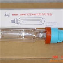 诱鱼灯海钓集鱼灯集鱼灯诱鱼灯捕鱼电器鱿鱼钓海强诱鱼灯