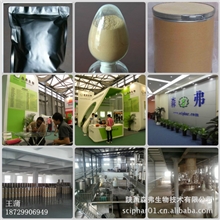 现货直销营养补充剂一水肌酸阿里诚信商家