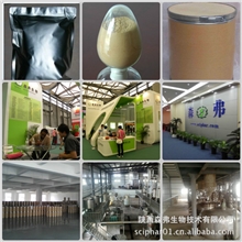 植物提取物中药提取物达米阿那提取物阿里诚信商家