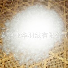 [企业集采]水洗羽绒批发，厂家直销80%白鸭绒，白鸭绒70%