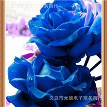 DIY树脂方钻贴钻绣十字绣钻石绣贴钻画钻石画蓝色妖姬产家直销