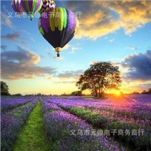 3D钻石画方钻钻石绣贴钻画七彩梦想薰衣草热气球客厅风景