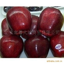 进口水果批发北京进口水果批发空运进口水果批发