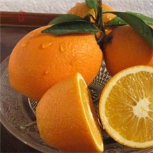 绿色水果无污染有机水果批发水果南粤大地基地自产水果