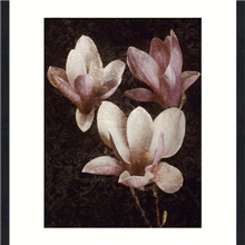 美克美家摄影花卉简约现代油画酒店宾馆客厅餐厅有框画装饰画