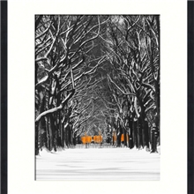 黑白摄影自然风景现代有框画美克美家书吧客厅卧室装饰挂画