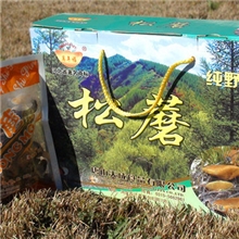 万年福松蘑300g/提50g/袋6袋/提
