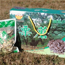 万年福栗蘑300g/提迁西特产栗磨地方特产节日礼品