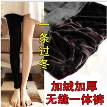 冬新款显瘦冬款女士加厚加绒保暖裤九分裤打底裤一体裤厂价批发