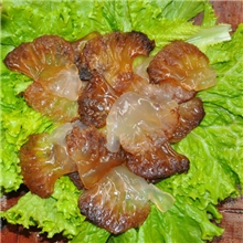 天天海鲜冰鲜即食海蜇头500g海鲜特产清新爽脆顶级哲耳天然风味