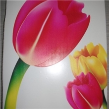 高清图案||装饰玻璃印图机||个性化装饰印刷设备【终身售后】