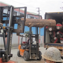 长期大量供应木皮刨切材料--优质缅甸柚木原木