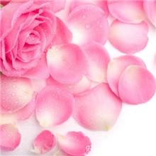 厂家直销科曼罗日化香精/玫瑰花香香精（可免费提供样品）