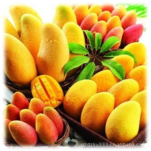 厂家直销科曼罗日化香精/芒果果香香精（可免费提供样品）